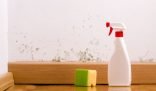 Mould removal