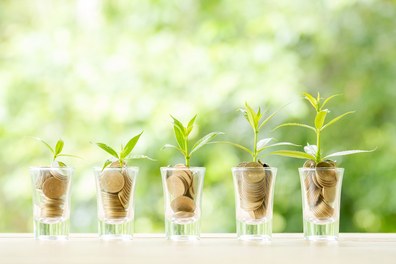 plants in money instead of soil