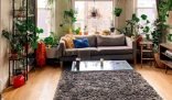 Clean and fresh home