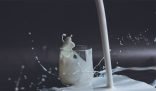 clean spilled milk