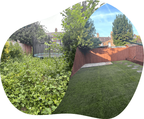 A split-view image showing the dramatic transformation of a garden from overgrown and cluttered to a neatly cleared and lush green lawn, showcasing the effective results of our Garden Clearance service.