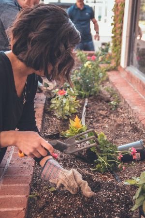 A focused individual tending to a garden bed, trimming plants with care and precision, illustrating the hands-on approach and advantages of our comprehensive Garden Clearance services.
