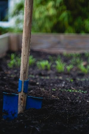 A sturdy shovel stands ready in rich, fertile soil, symbolizing the valuable investment of professional garden maintenance for enhancing and nurturing your outdoor space with Samyx services.
