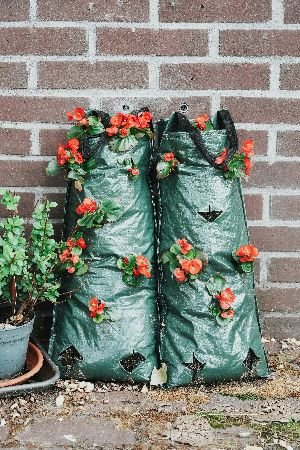 Vertical garden bags flourishing with bright red flowers against a brick wall, demonstrating a creative and efficient way to manage garden space and waste, highlighting our Garden Clearance service's ability to reclaim and beautify outdoor areas.