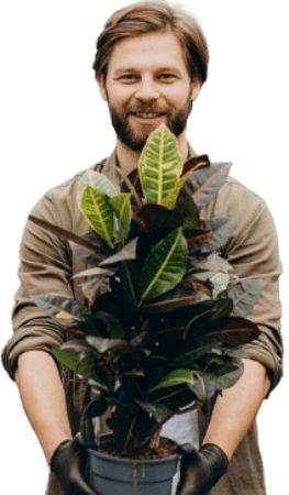 A smiling landscaping expert holding a lush potted croton, symbolizing the personalized care and green touch Samyx's Landscaping Service brings to every outdoor space.