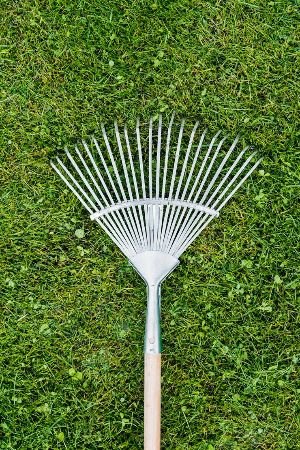 A leaf rake resting on a well-maintained lawn, symbolizing the thorough care and attention to detail provided by our patio and lawn maintenance services.