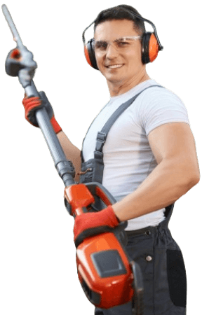 A confident tree surgeon in London equipped with protective gear and a chainsaw, ready to provide expert tree care and maintenance services.