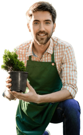 A friendly turfing specialist in London presenting a healthy potted plant, symbolizing the quality and care provided in Samyx's turfing services for vibrant gardens.