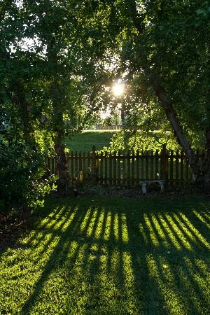 The sun sets behind a quaint wooden garden fence, casting long shadows across a vibrant lawn and capturing the peaceful ambiance of a secure and beautifully enclosed backyard space.