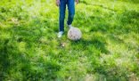 A child's lower half in jeans and sneakers standing next to a well-worn soccer ball on vibrant green grass, symbolizing the common battle with grass stains during outdoor play.