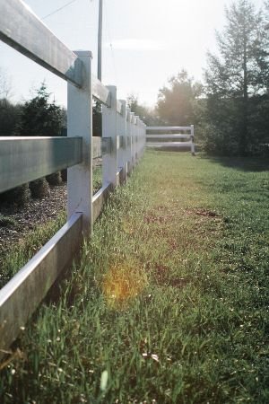 Morning sunlight gently illuminates a peaceful meadow, casting a soft glow along a sturdy, white-painted fence that stretches into the distance, encapsulating the calm and security of a well-defined property boundary.