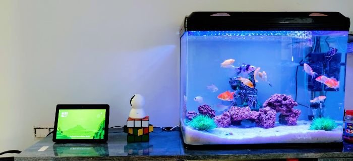 A clean, well-maintained aquarium with colorful fish and decorations, accompanied by a tablet and a Rubik's cube on the side, illustrating the process of cleaning the aquarium glass and decorations safely.