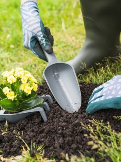 Person planting a yellow primrose in a garden, symbolizing the comprehensive gardening services offered in Putney, SW15, including planting, maintenance, and landscape design.