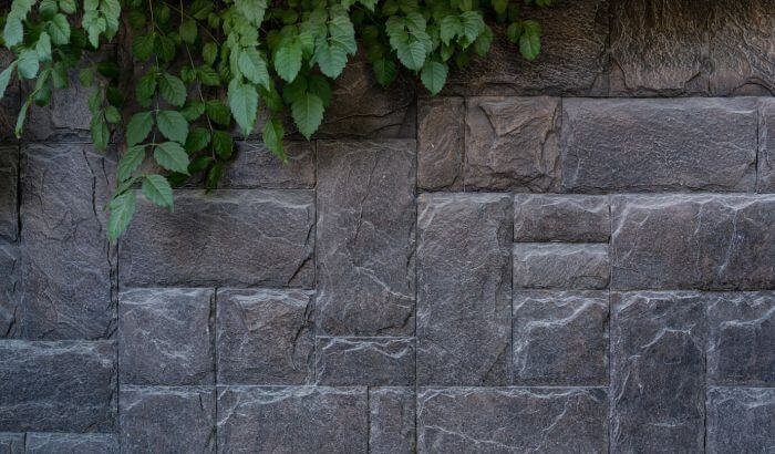 A natural stone wall with greenery, emphasizing the importance of cleaning and preserving natural stone surfaces to maintain their beauty and durability.