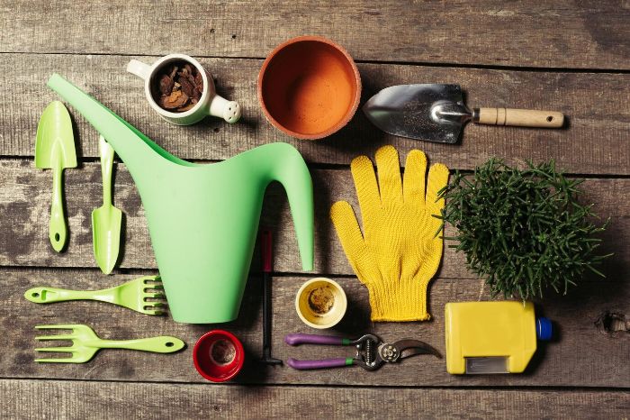 A collection of essential gardening tools, including a watering can, gloves, trowel, spade, pruning shears, rake, and garden fork, laid out on a wooden surface, illustrating the basic tools every gardener needs.