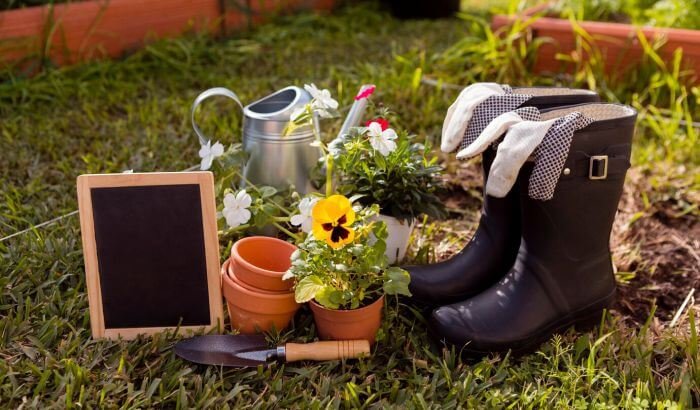 Gardening tools and plants arranged on a grassy area, illustrating the essentials needed for maintaining a garden, perfect for a garden maintenance checklist for London gardens.
