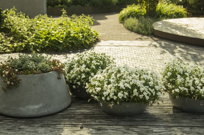 A garden featuring hardscaping elements and decorative planters, illustrating the importance of incorporating hardscaping and decorative elements to enhance garden aesthetics.