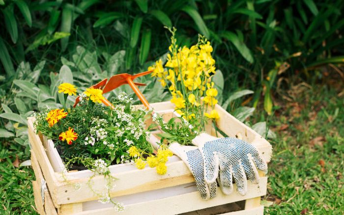 A crate filled with colorful flowers, gardening gloves, and tools, representing the essential gardening tasks for April to June, such as planting, weeding, and feeding.