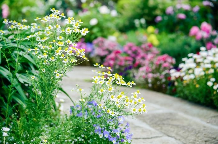 Beautifully landscaped garden highlighting the benefits of professional landscaping services in London.