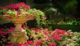 A beautifully designed garden in London featuring a variety of vibrant flowers and a decorative stone planter, showcasing the best plants for London gardens and garden design tips.