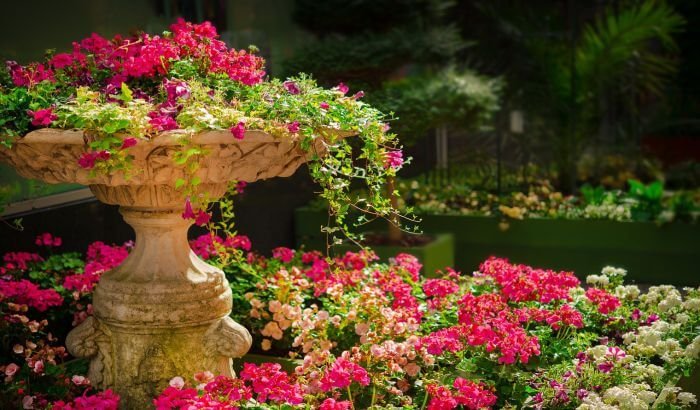 A beautifully designed garden in London featuring a variety of vibrant flowers and a decorative stone planter, showcasing the best plants for London gardens and garden design tips.