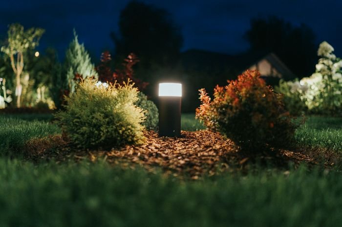 Energy-efficient garden lighting with solar-powered LED lights illuminating a garden path at night, highlighting the trend of using sustainable lighting solutions for outdoor spaces.