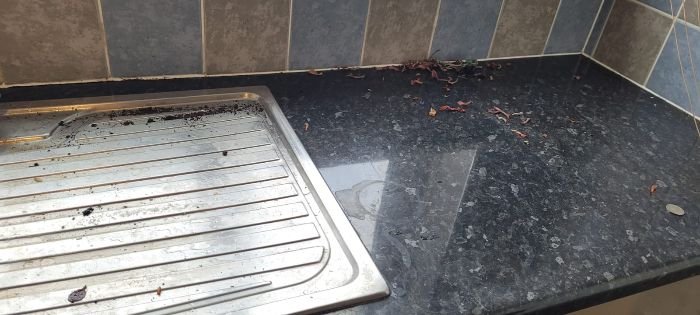 Kitchen countertop with grease and food stains, illustrating the initial assessment for end of tenancy cleaning.
