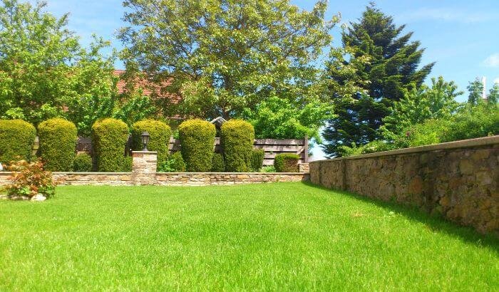 Beautifully maintained garden showcasing the importance of landscaping services in London.