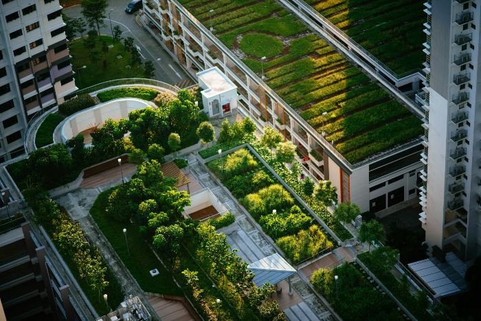 Aerial view of lush rooftop gardens in a city, showcasing green havens with plants and trees, providing a serene escape and supporting local wildlife.