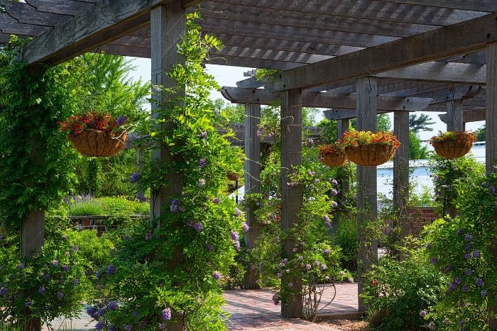 Garden pergola adorned with vibrant flowers and hanging baskets, highlighting the importance of spring and summer maintenance for a healthy and colorful garden.