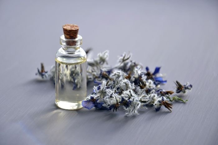 Clear bottle of lavender oil with dried lavender flowers on a gray background, ideal for creating a fresh and calming scent in home cleaning