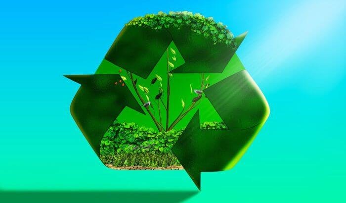 Sustainable waste management concept with a recycling symbol and green plants, emphasizing eco-friendly cleaning practices.