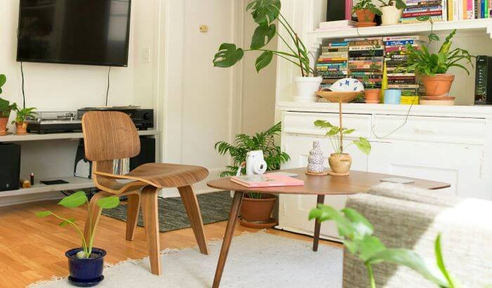 Bright and tidy living room with plants and a cozy setup, ideal for summer deep cleaning tips to refresh and organize your home.