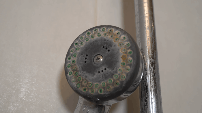 Close-up of a showerhead with heavy limescale buildup, representing common areas in the home affected by limescale