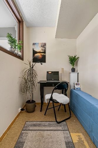 A cozy study room with a desk, chair, potted plants, and natural light, representing a professionally cleaned space in Hainault, IG7.