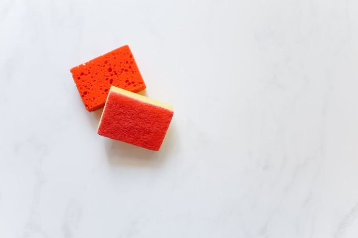 Two kitchen sponges on a clean white surface, illustrating how common cleaning tools like sponges and dishcloths can harbor millions of bacteria, including E. coli and Salmonella.