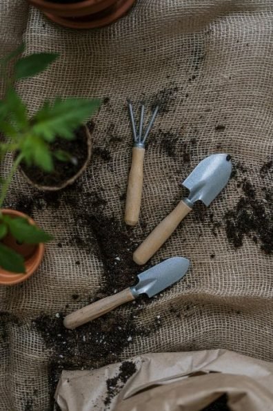 Gardening tools and potted plants prepared for garden maintenance work in Fulham, SW6