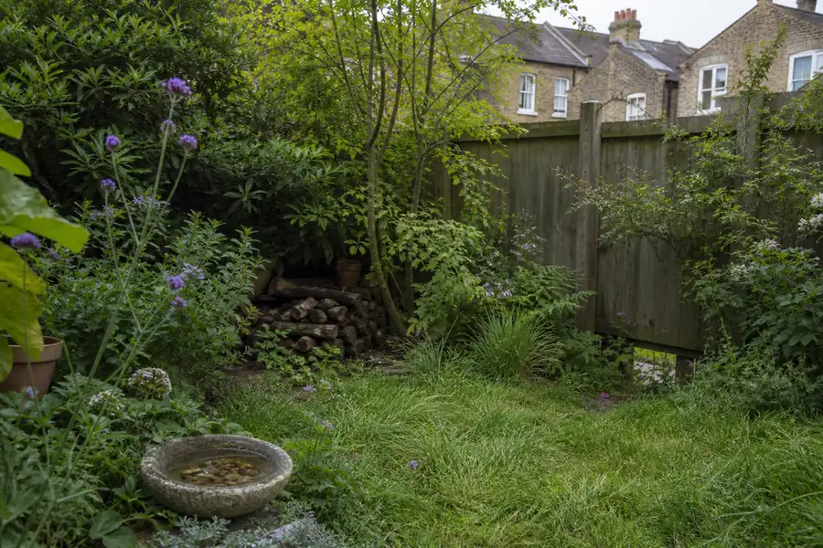 Wildlife Friendly Garden London: A Practical Guide 5 Small London wildlife garden with shallow water, layered planting, longer grass and a shaded log pile