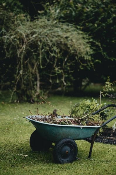 A wheelbarrow loaded with garden trimmings stands in a lush backyard, showcasing the practical clean-up phase of Samyx's comprehensive gardening services, highlighting the meticulous garden care provided.