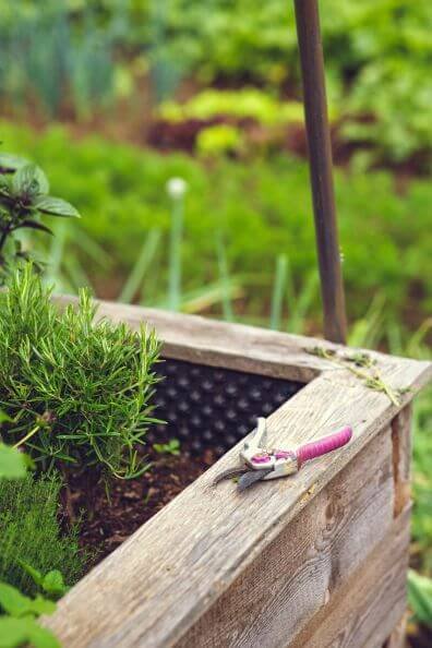 A pair of pruning shears lies on the wooden edge of a raised garden bed, with lush greenery in the background, ready for use in a well-maintained and vibrant garden, illustrating the detailed care provided by professional gardening services.